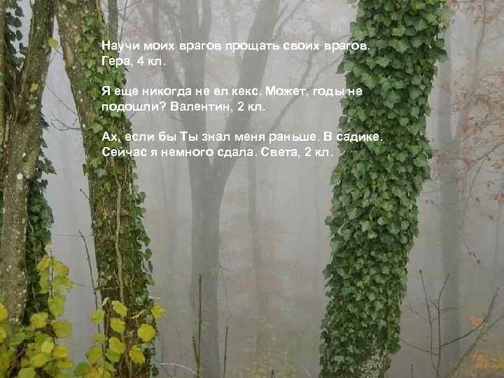 Научи моих врагов прощать своих врагов. Гера, 4 кл. Я еще никогда не ел