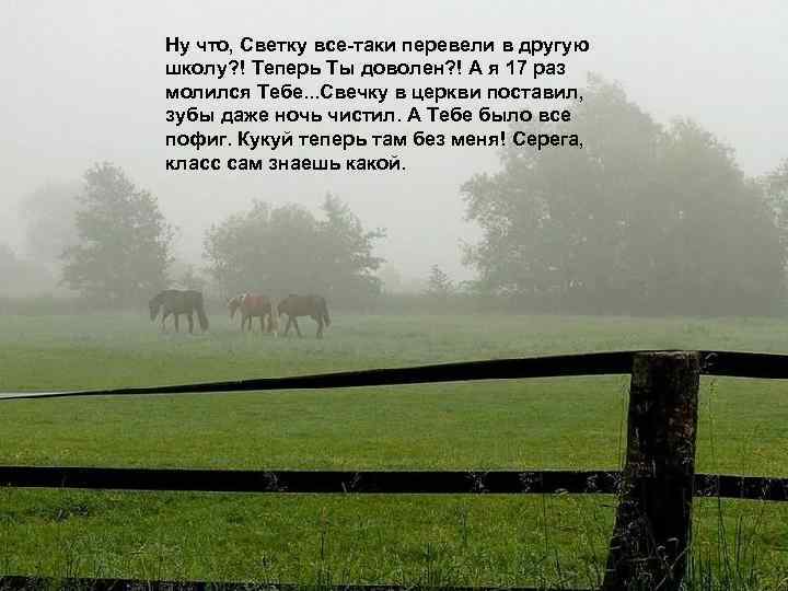 Ну что, Светку все-таки перевели в другую школу? ! Теперь Ты доволен? ! А