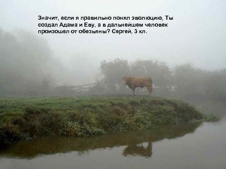 Значит, если я правильно понял эволюцию, Ты создал Адама и Еву, а в дальнейшем