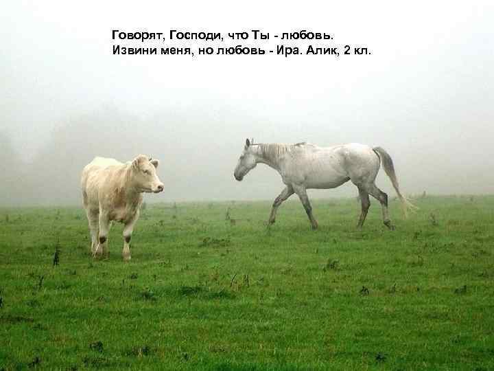 Говорят, Господи, что Ты - любовь. Извини меня, но любовь - Ира. Алик, 2