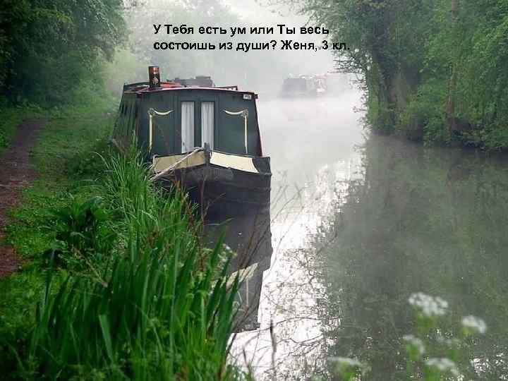 У Тебя есть ум или Ты весь состоишь из души? Женя, 3 кл. 