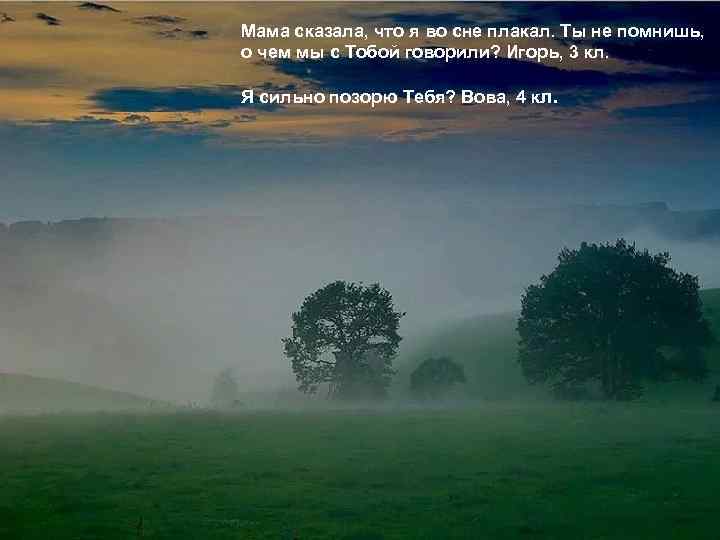 Мама сказала, что я во сне плакал. Ты не помнишь, о чем мы с
