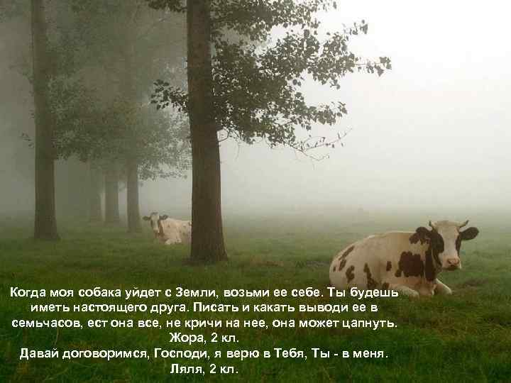 Когда моя собака уйдет с Земли, возьми ее себе. Ты будешь иметь настоящего друга.