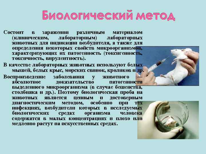 Состоит в заражении различным материалом (клиническим, лабораторным) лабораторных животных для индикации возбудителя, а также