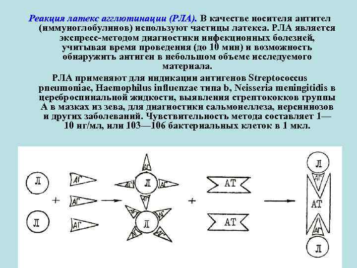 Реакция латекс агглютинации (РЛА). В качестве носителя антител (иммуноглобулинов) используют частицы латекса. РЛА является