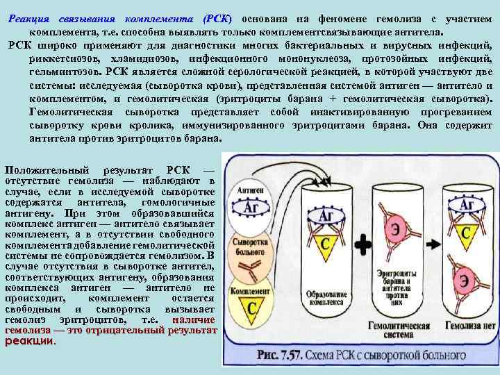 Реакция связывания комплемента (РСК) основана на феномене гемолиза с участием комплемента, т. е. способна