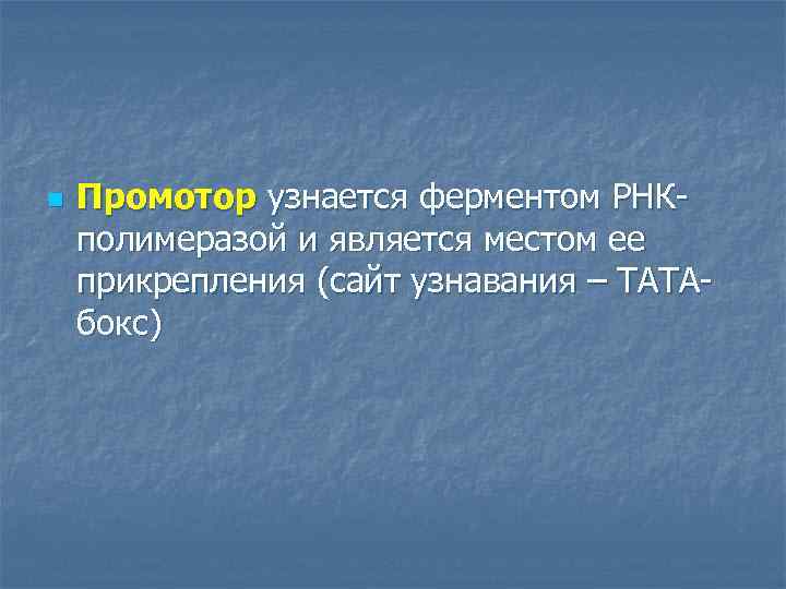 n Промотор узнается ферментом РНКполимеразой и является местом ее прикрепления (сайт узнавания – ТАТАбокс)