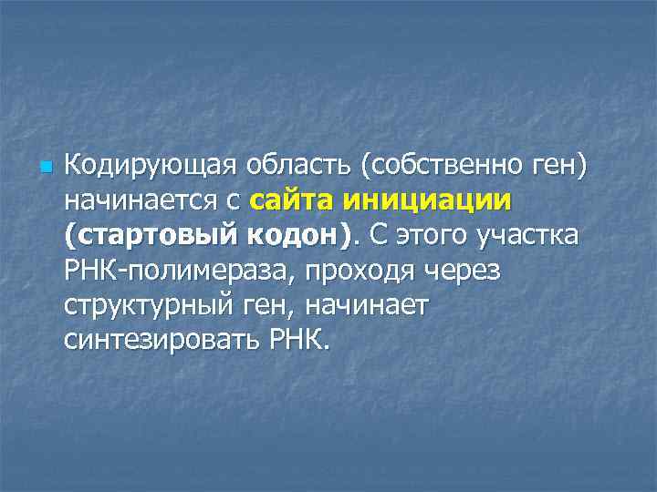 n Кодирующая область (собственно ген) начинается с сайта инициации (стартовый кодон). С этого участка