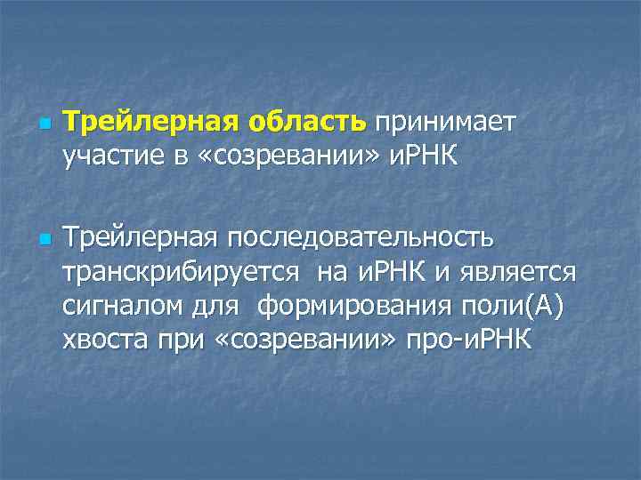 n n Трейлерная область принимает участие в «созревании» и. РНК Трейлерная последовательность транскрибируется на