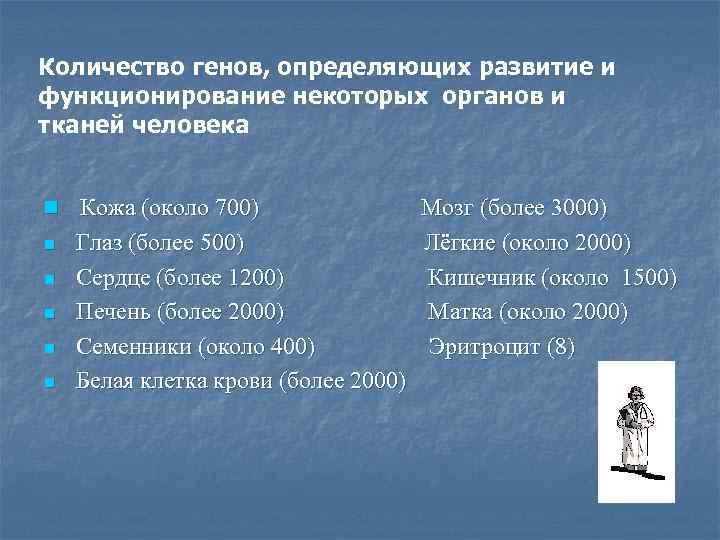 Количество генов, определяющих развитие и функционирование некоторых органов и тканей человека n Кожа (около