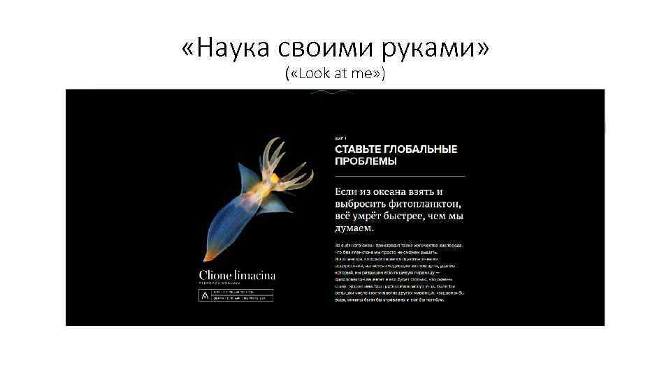  «Наука своими руками» ( «Look at me» ) 