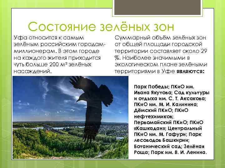 Состояние зелёных зон Уфа относится к самым зелёным российским городаммиллионерам. В этом городе на