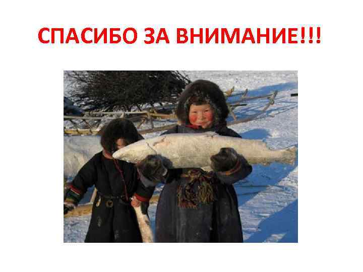 СПАСИБО ЗА ВНИМАНИЕ!!! 