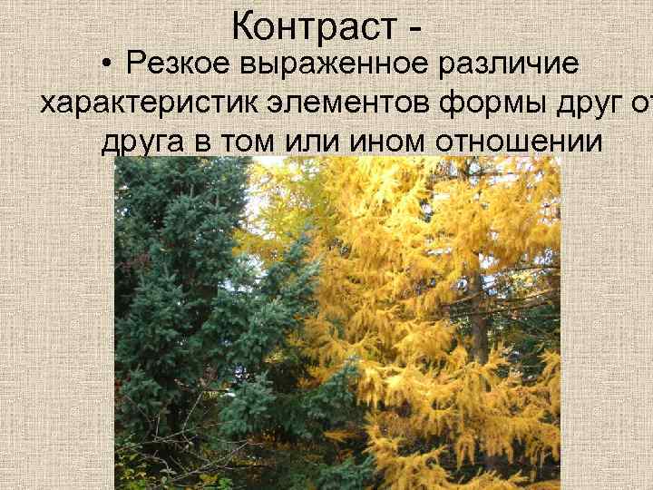 Контраст - • Резкое выраженное различие характеристик элементов формы друг от друга в том