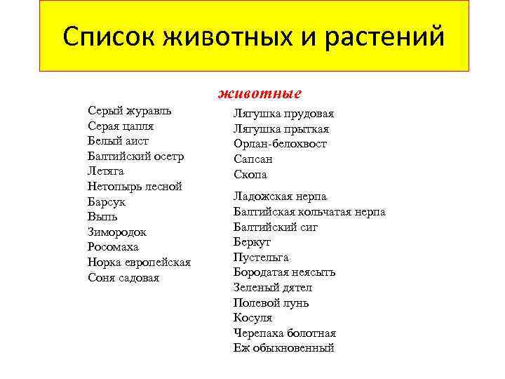 Список животных и растений животные Серый журавль Серая цапля Белый аист Балтийский осетр Летяга