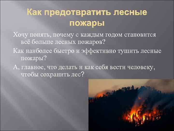 Как предотвратить лесные пожары Хочу понять, почему с каждым годом становится всё больше лесных