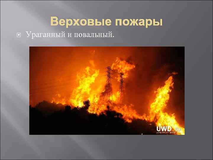 Верховые пожары Ураганный и повальный. 