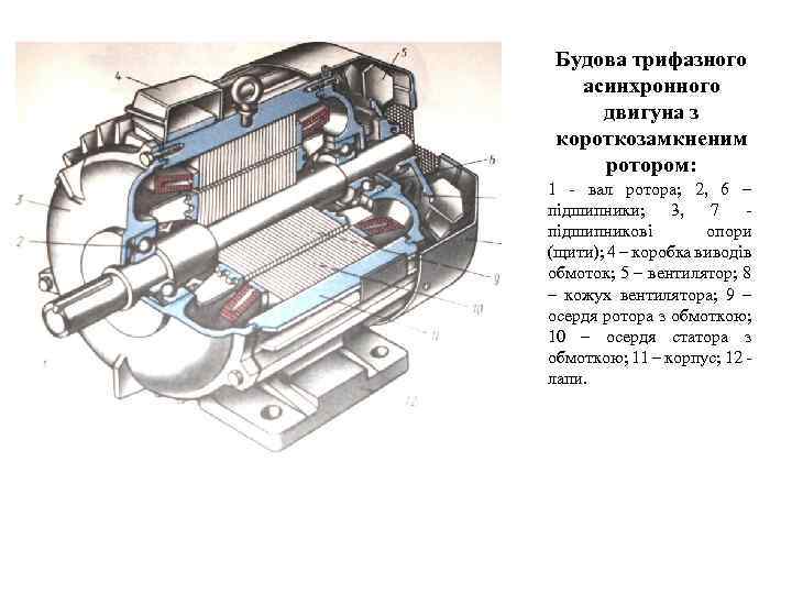 Будова трифазного асинхронного двигуна з короткозамкненим ротором: 1 - вал ротора; 2, 6 –