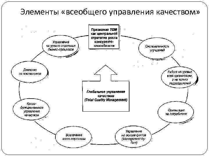 Всеобщее управление качеством схема