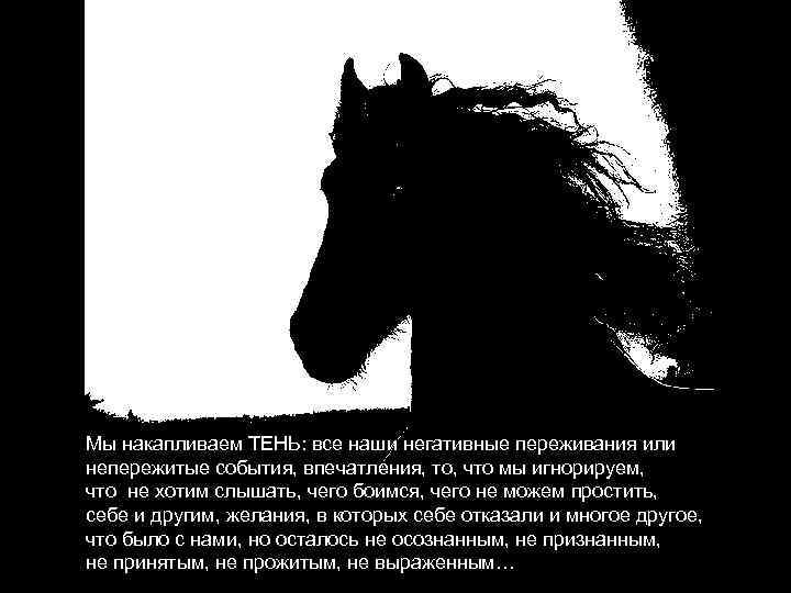 Мы накапливаем ТЕНЬ: все наши негативные переживания или непережитые события, впечатления, то, что мы
