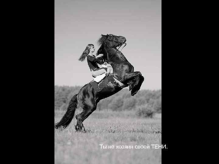 Ты не хозяин своей ТЕНИ. 
