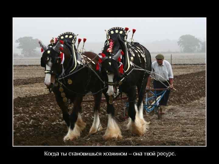 Когда ты становишься хозяином – она твой ресурс. 
