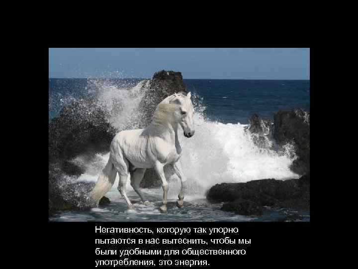 Негативность, которую так упорно пытаются в нас вытеснить, чтобы мы были удобными для общественного