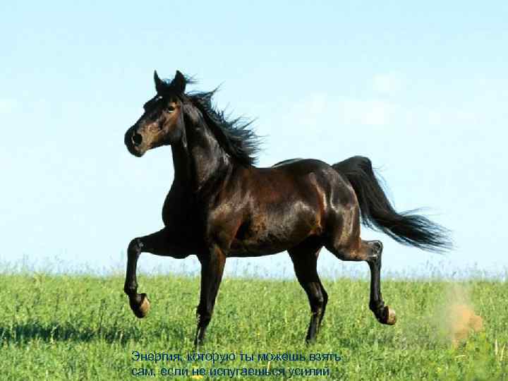 Энергия, которую ты можешь взять сам, если не испугаешься усилий 