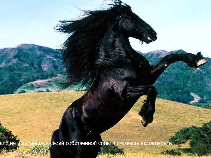 сли не испугаешься своей собственной силы и сможешь ею овладеть 