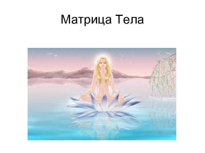 Матрица Тела 