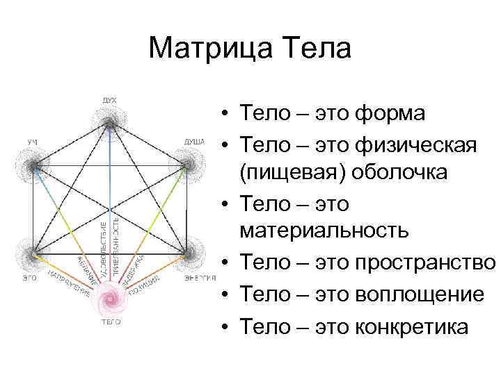 Матрица Тела • Тело – это форма • Тело – это физическая (пищевая) оболочка