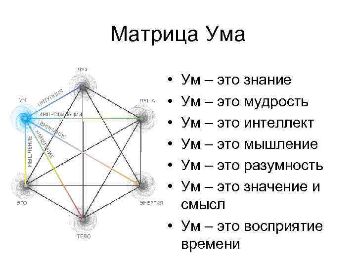 Матрица Ума • • • Ум – это знание Ум – это мудрость Ум
