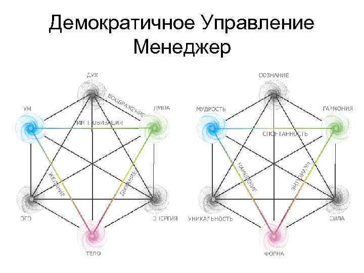 Демократичное Управление Менеджер 