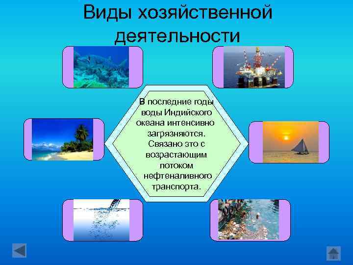 Виды хозяйственной деятельности В странах, Рыбный В последние годы Чистые На дне Через расположенных