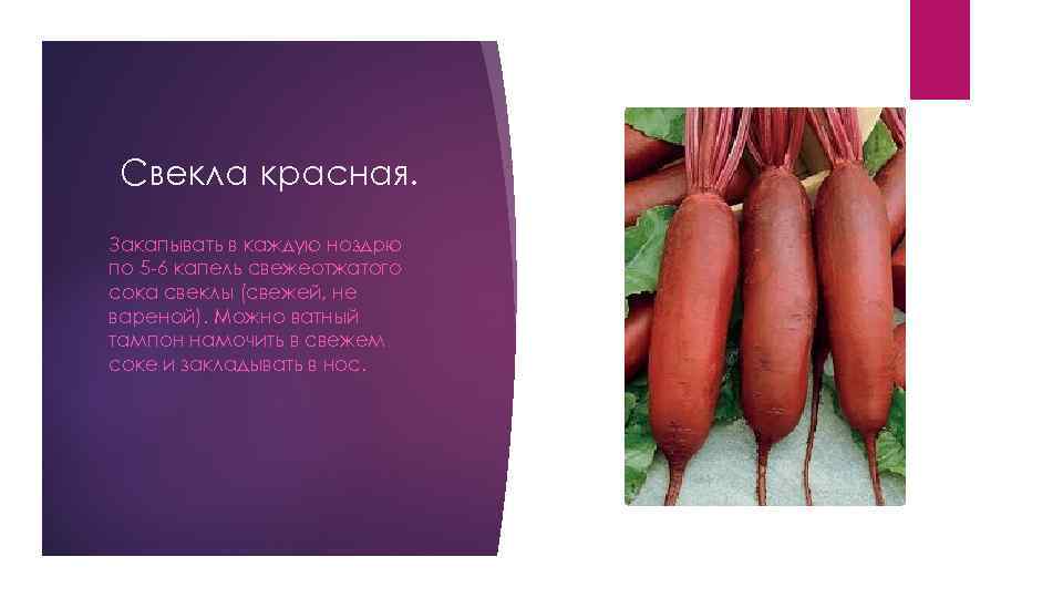 Свекла красная. Закапывать в каждую ноздрю по 5 -6 капель свежеотжатого сока свеклы (свежей,