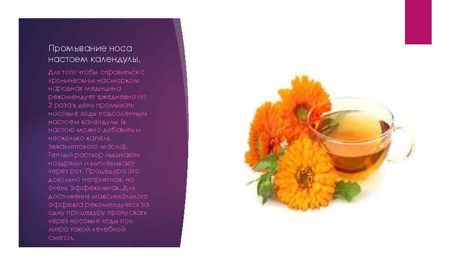 Промывание носа настоем календулы. Для того чтобы справиться с хроническим насморком народная медицина рекомендует