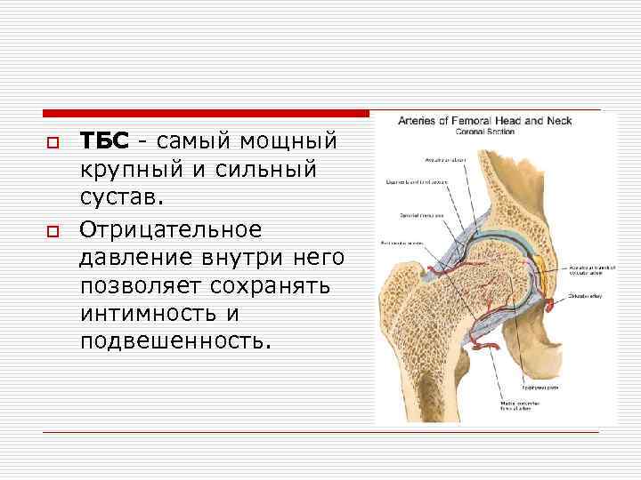 Полость равный