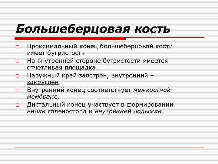 Большеберцовая кость o o o Проксимальный конец большеберцовой кости имеет бугристость. На внутренней стороне