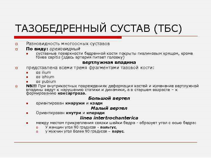 ТАЗОБЕДРЕННЫЙ СУСТАВ (ТБС) o o Разновидность многоосных суставов По виду: ореховидный n o суставные