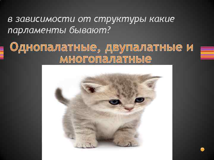 в зависимости от структуры какие парламенты бывают? Однопалатные, двупалатные и многопалатные 
