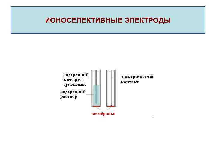 ИОНОСЕЛЕКТИВНЫЕ ЭЛЕКТРОДЫ 