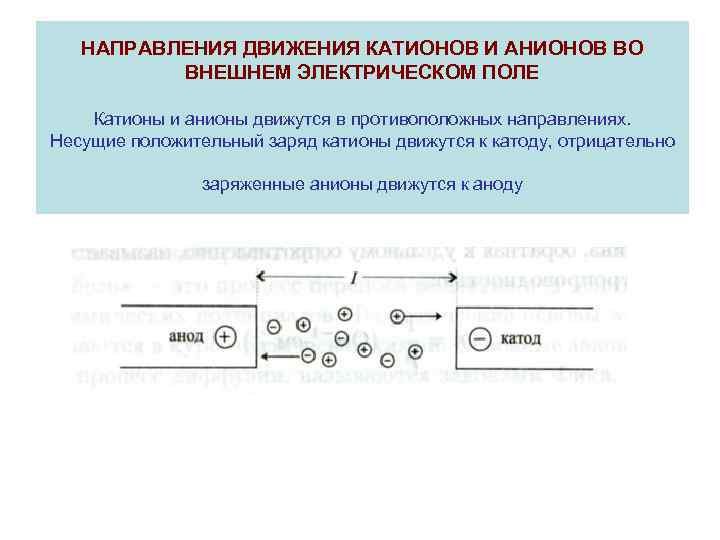 НАПРАВЛЕНИЯ ДВИЖЕНИЯ КАТИОНОВ И АНИОНОВ ВО ВНЕШНЕМ ЭЛЕКТРИЧЕСКОМ ПОЛЕ Катионы и анионы движутся в