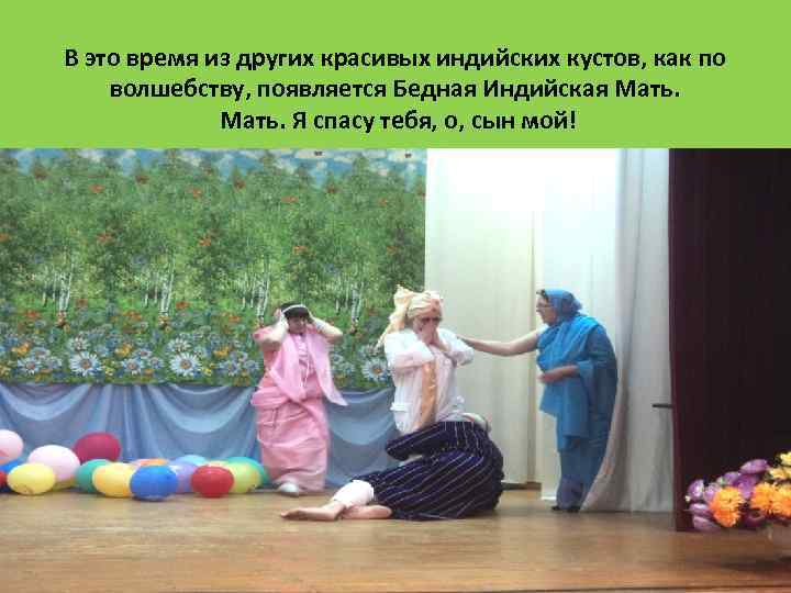 В это время из других красивых индийских кустов, как по волшебству, появляется Бедная Индийская