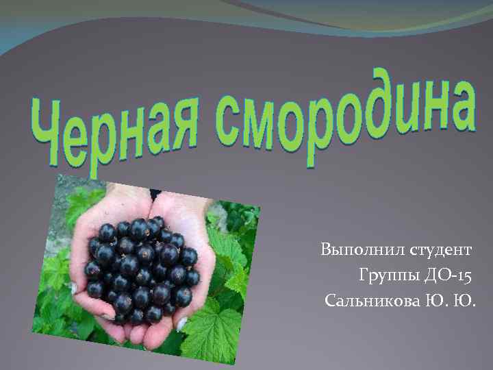Выполнил студент Группы ДО-15 Сальникова Ю. Ю. 