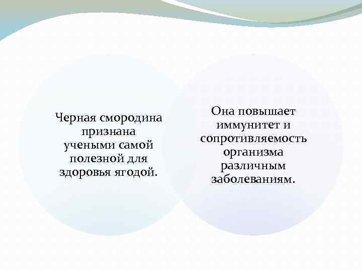 Черная смородина признана учеными самой полезной для здоровья ягодой. Она повышает иммунитет и сопротивляемость