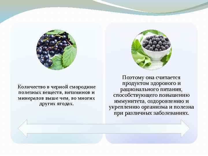 Количество в черной смородине полезных веществ, витаминов и минералов выше чем, во многих других