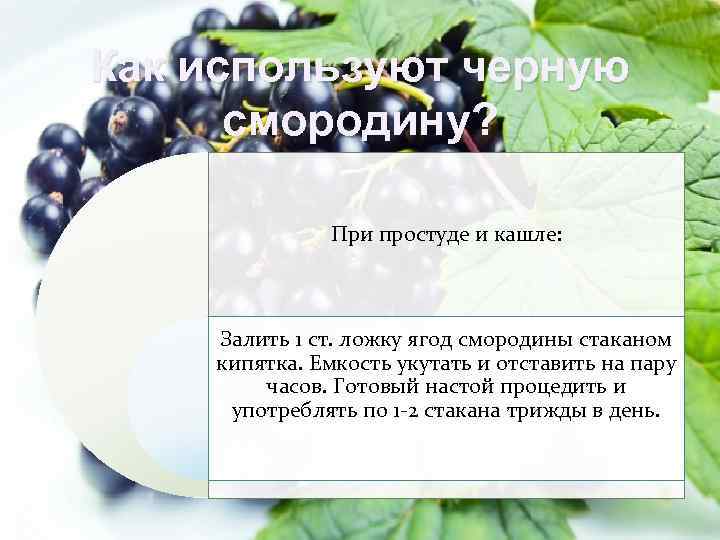Как используют черную смородину? При простуде и кашле: Залить 1 ст. ложку ягод смородины