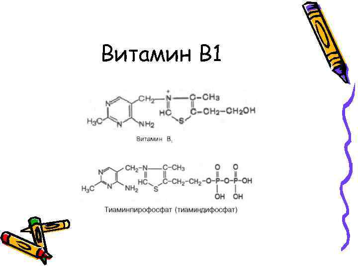Витамин В 1 