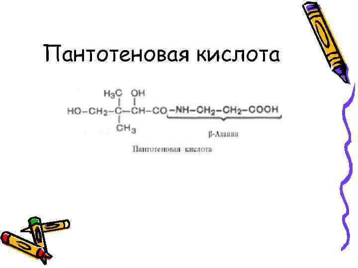 Пантотеновая кислота 