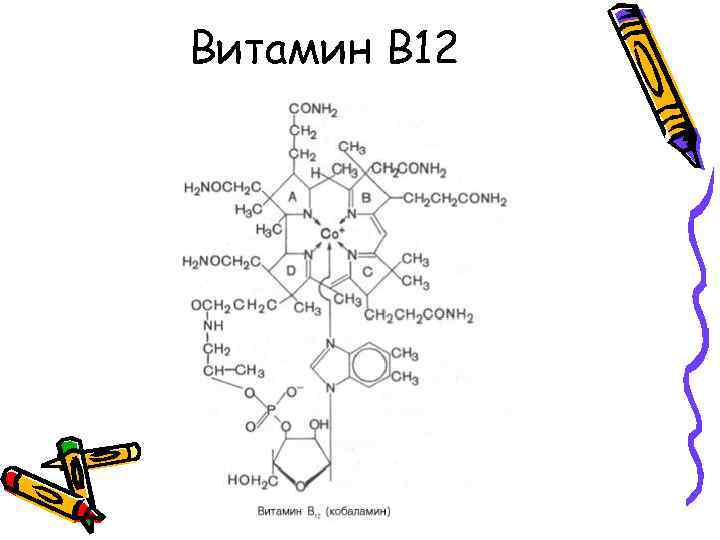 Витамин В 12 